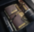Capture1