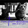 Two Witnesses Bible Study Artwork