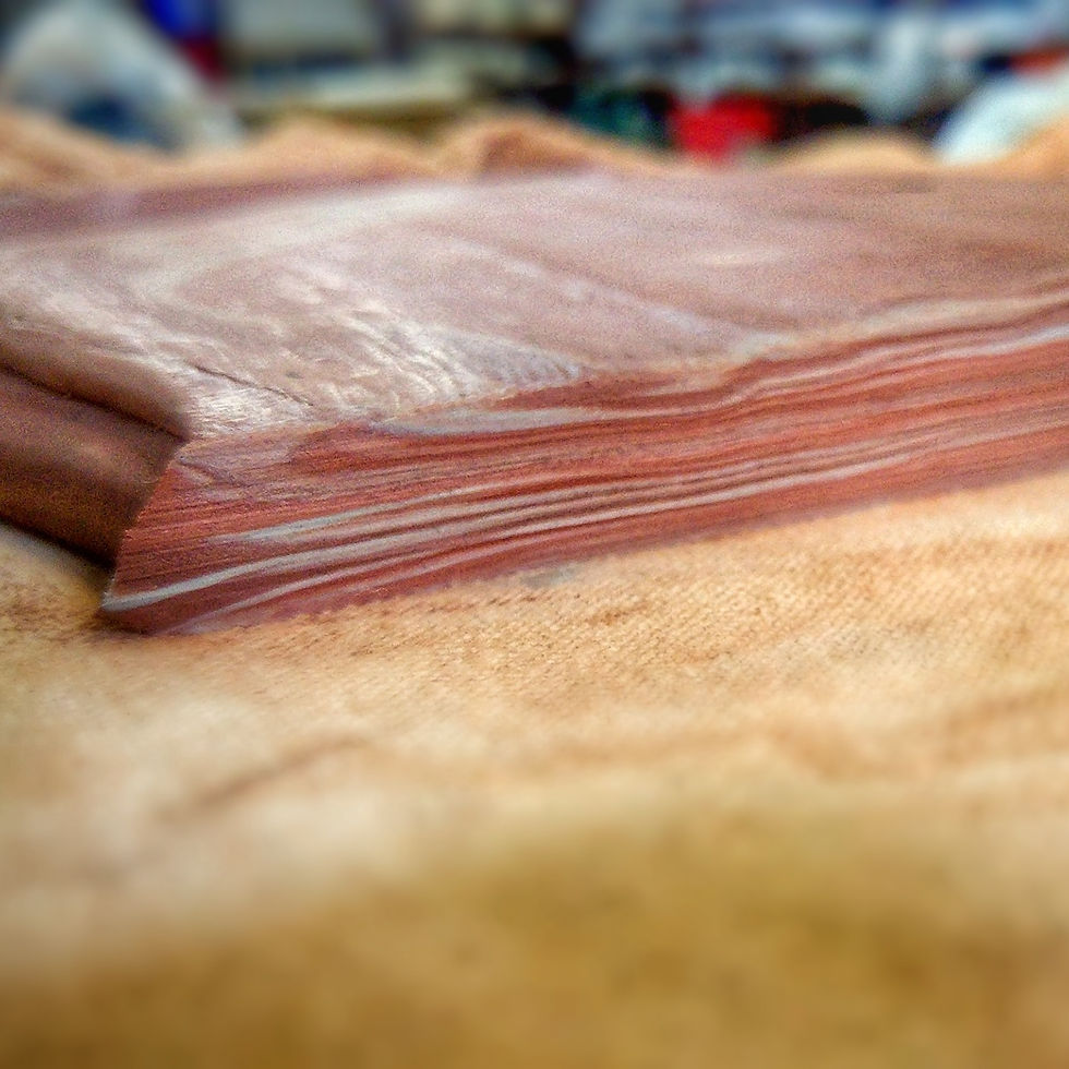 力度生存  物料練習