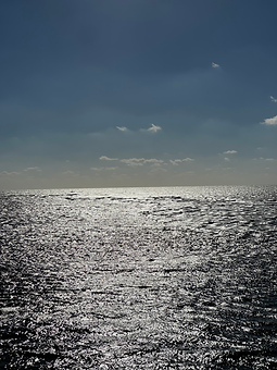 IMG_0651.heic