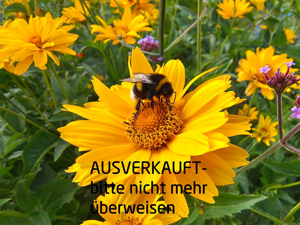 AUSVERKAUFT-Bitte nicht mehr überweisen! LV ACHIM "VORTRAG mit Dr. med. Susanne Dörffel"