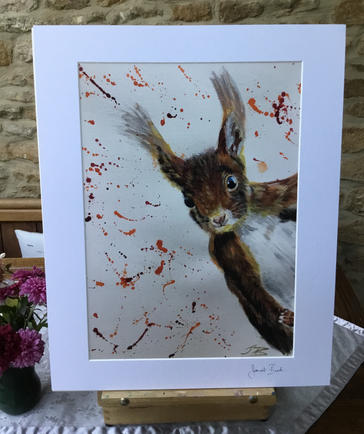 Red Squirrel