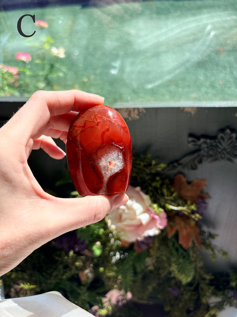 Thumbnail: You Choose Carnelian Freeform