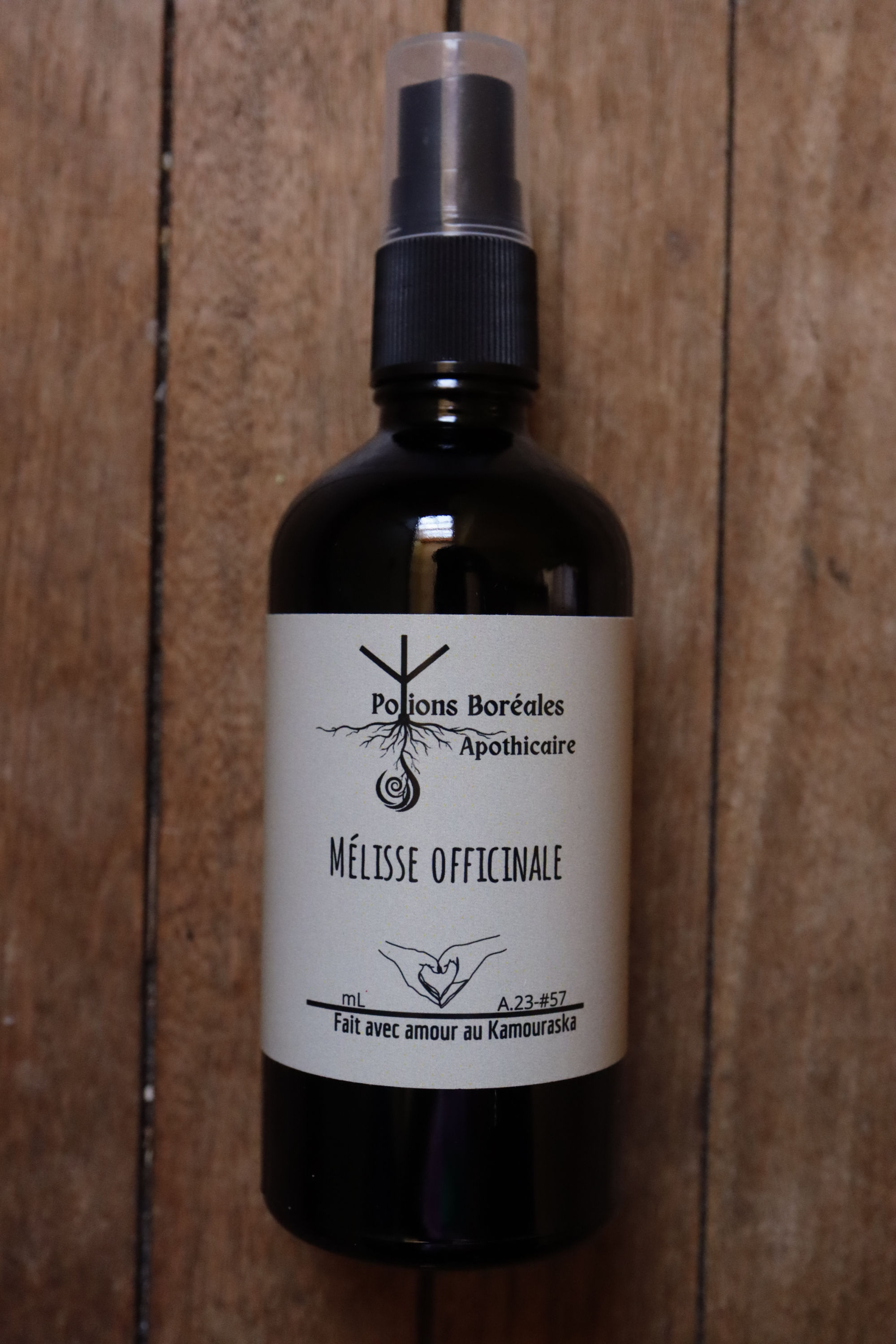 Mélisse/ Melissa Officinalis