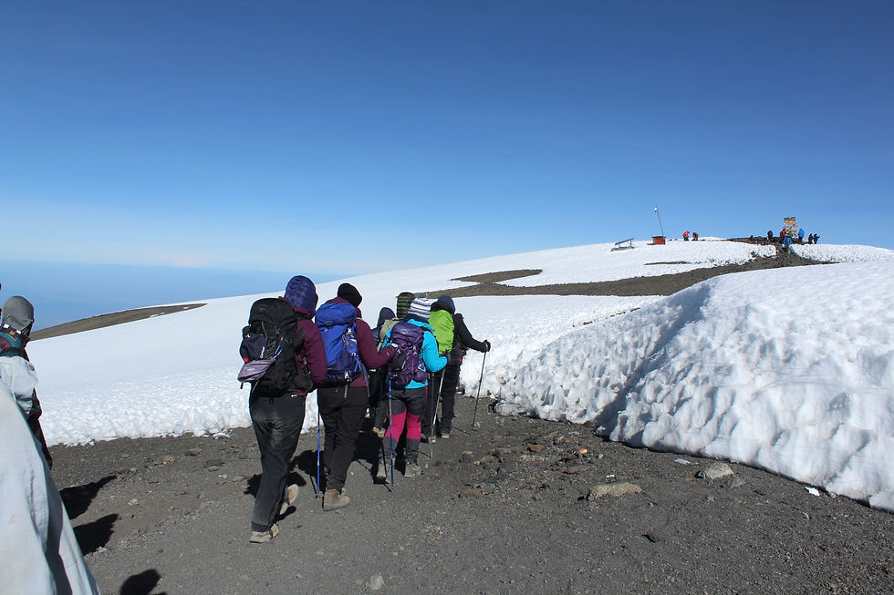 trekkers on Kilimanjaro Glaciers