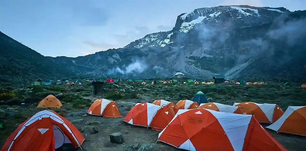 Mount kilimanjaro camping ground with four seasons tents