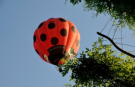 Montgolfière 1 BD.jpg