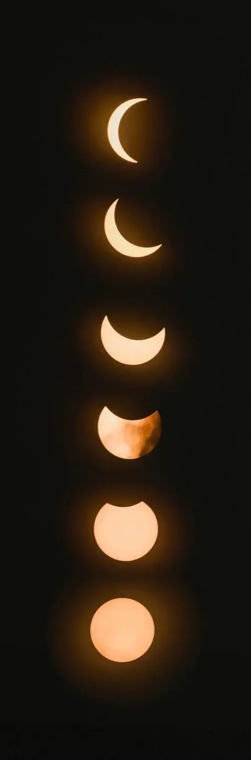 unsplash-image-NbgQfUvKFE0.webp