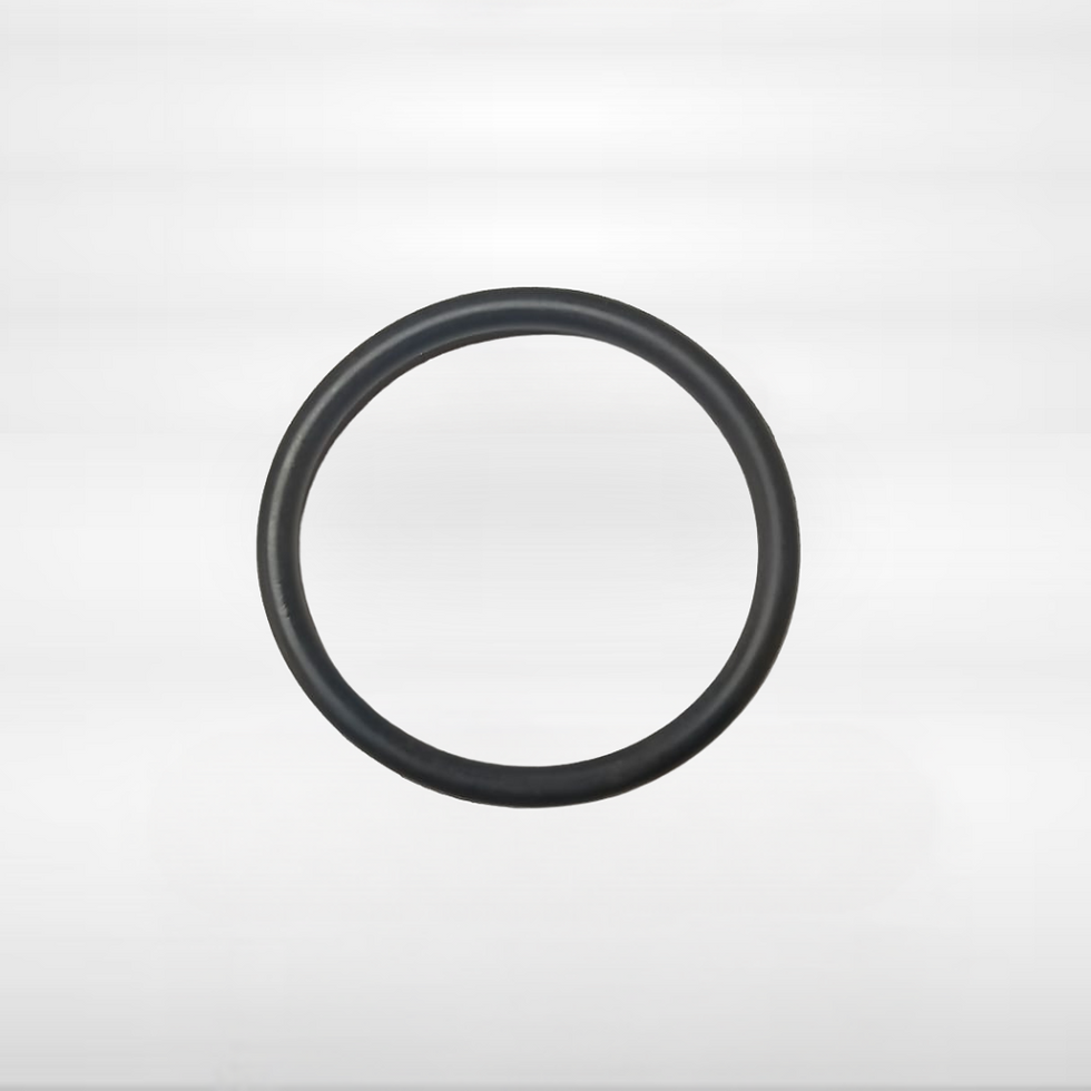 Electrolux O Ring Element front view