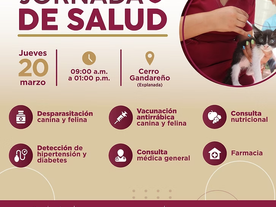 Programan Jornada de Salud en sector Cerro Gandareño