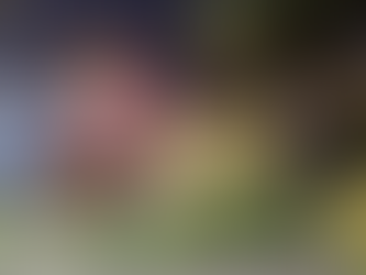 Atiende Protección Civil Municipal 57 reportes por lluvias y vientos en Hermosillo