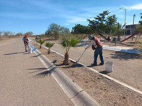 Realiza Ayuntamiento de Empalme trabajos de conservación a plaza Revolución