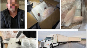 Acción firme del gobierno de Durazo: decomisan 400 kilos de cocaína