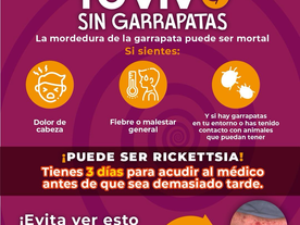 Gobierno de Sonora llama a prevenir la rickettsiosis ante inicio de temporada de calor