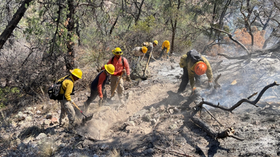 Gobierno de Sonora combate incendio forestal en Agua Prieta