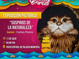 Invita Ayuntamiento de Guaymas a la exposición pictórica “Suspiros de la naturaleza”