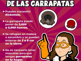 Trabaja Gobierno de Sonora en acciones preventivas contra la rickettsiosis