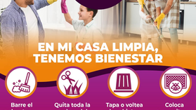 Acciones preventivas en el hogar disminuyen enfermedades transmitidas por vectores: Salud Sonora