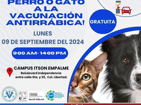 Harán Ayuntamiento e Itson jornada de vacunación antirrábica canina y felina