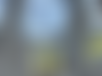 Binomios K-9 de la Policía Estatal localizan sustancia prohibida en paquetería