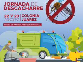 Hará Ayuntamiento jornada de descacharre en la colonia Juárez