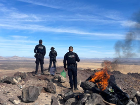 Destruye Gobierno de Sonora 39 puntos de observación en protocolo fronterizo: SSP