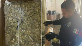 Localiza Gobierno de Sonora paquetes con mariguana en servicio de paquetería en Cajeme
