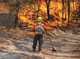 Avanza Gobierno de Sonora en el combate al incendio forestal en Nácori Chico