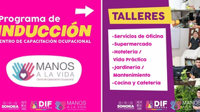 Gobierno de Sonora invita al Curso de Inducción en Manos a la Vida