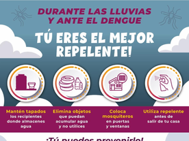Refuerza Gobierno de Sonora acciones para prevenir el dengue durante la temporada de lluvias