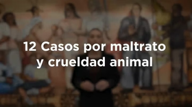 Suman 12 casos de maltrato animal judicializados en lo que va del año 2025 en Sonora