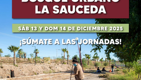 Bosque Urbano La Sauceda ofrece un fin de semana lleno de actividades culturales, talleres y convivencia familiar