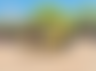 Organiza Gobierno de Sonora Torneo de Futbol por la Paz en ejidos de Huatabampo