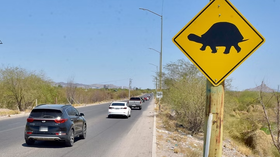 Instala Ayuntamiento de Hermosillo señalamientos preventivos por cruce de tortugas en el Vado del Río