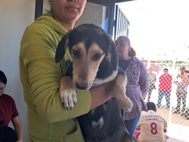 Beneficia Gobierno de Sonora la salud animal con jornada de esterilización en Empalme