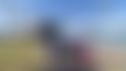 Recibe Ayuntamiento de Guaymas al crucero Zaandam