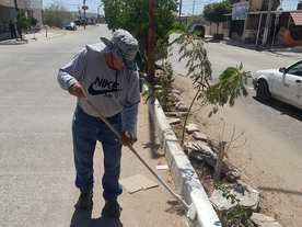 Mantiene Ecología Municipal atención a la comunidad empalmense