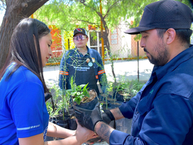Regala Vivero Municipal de Hermosillo 500 árboles de especies nativas