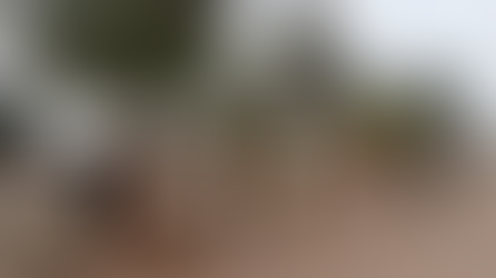 Jornada Permanente por la Paz recupera espacios públicos en San Luis Río Colorado