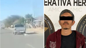 Captura AMIC a un implicado en la muerte de perrita en San Pedro El Saucito, en Hermosillo