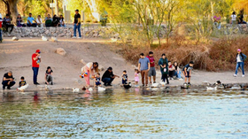 Gobierno de Sonora invita a vivir la naturaleza y el esparcimiento en familia en La Sauceda este fin de semana