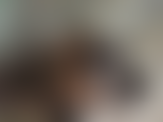 Gobierno de Sonora reintegra osa negra al hábitat natural en la sierra del estado