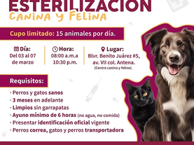 Realizarán Jornada de Esterilización Canina y Felina del 3 al 7 de marzo en Guaymas