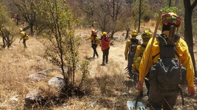 Liquida Gobierno de Sonora incendio forestal en Yécora en coordinación con autoridades federales y municipales