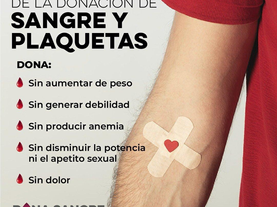 Gobierno de Sonora informa: Lo que debes saber sobre la donación de sangre