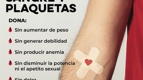 Gobierno de Sonora informa: Lo que debes saber sobre la donación de sangre