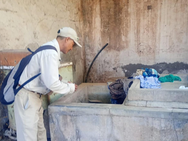 Intensifica Salud Sonora acciones contra dengue en Etchojoa, Guaymas y Empalme