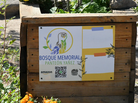 Por el decreto del Panteón Yáñez como Bosque Memorial sólo se permitirán inhumaciones en espacios sin utilizar con título