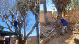 Refuerzan seguridad en escuelas con acciones de Ecología previo a nuevo ciclo escolar
