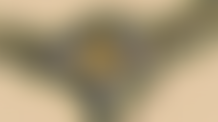 Apoya Toño Astiazarán proyecto de forestación e infraestructura verde en Pueblitos